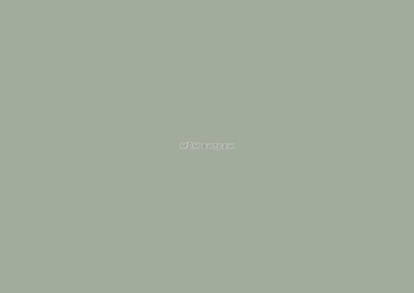 2003261 d-c-fix уни мат бледно-зеленый